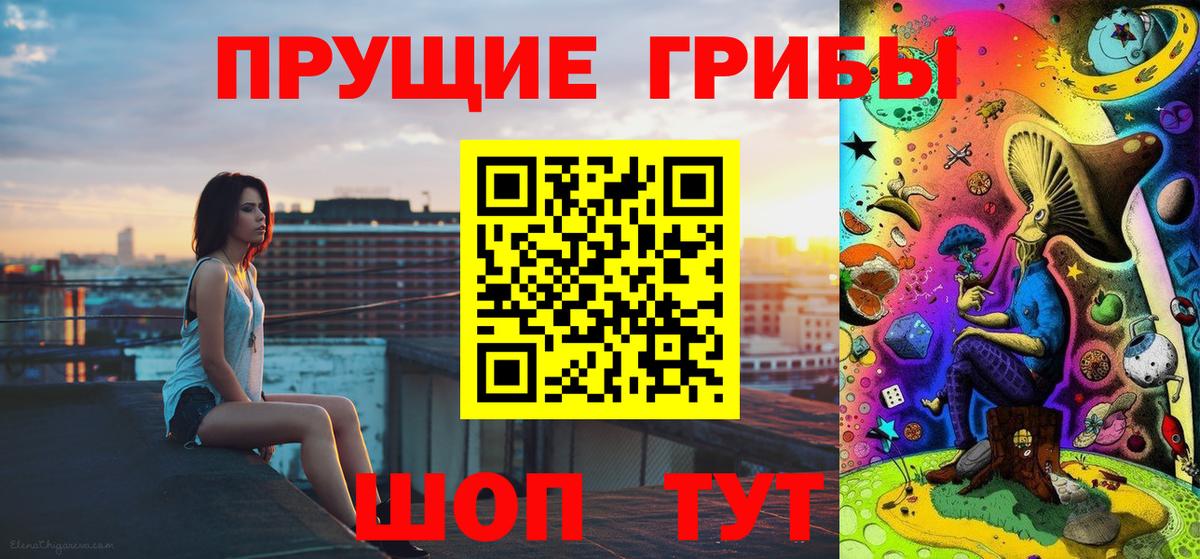 Псилоцибиновые грибы Psilocybine cubensis Лабытнанги