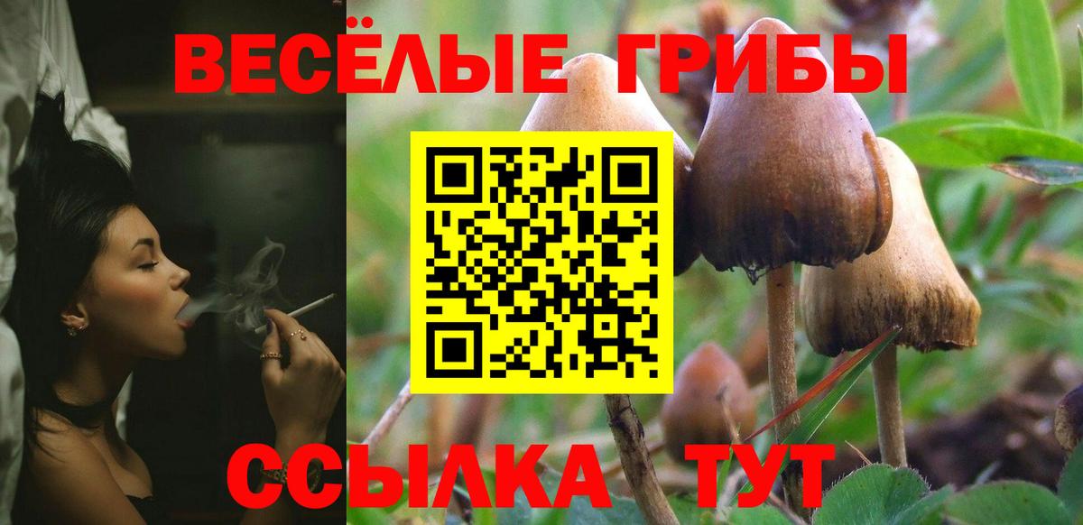 Псилоцибиновые грибы Cubensis  как найти   Лабытнанги  Вход с VPN 